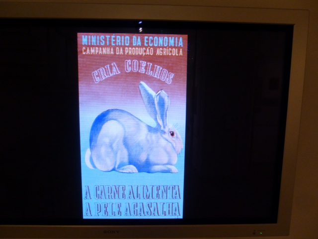 Going Medieval | Lyn Miller-Lachmann