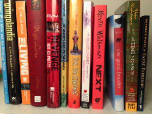 Multicultural children's and young adult books from both small and large publishers share space on my shelf. They're all good, and they all get along.